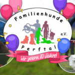 image-thumbnail