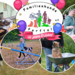 image-thumbnail